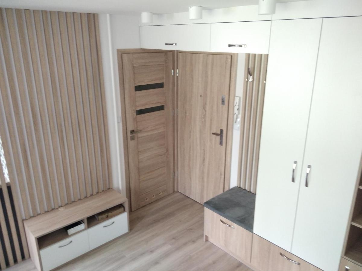 Apartament Zdroj ブスコ・ズドロイ エクステリア 写真