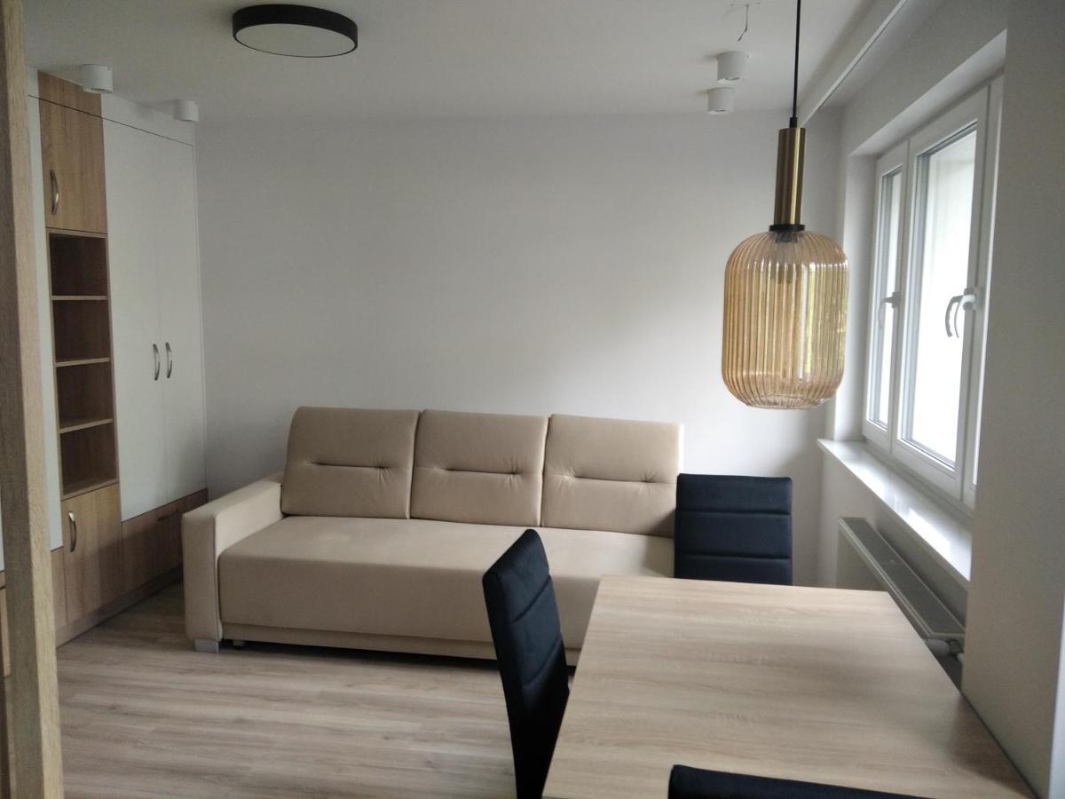 Apartament Zdroj ブスコ・ズドロイ エクステリア 写真