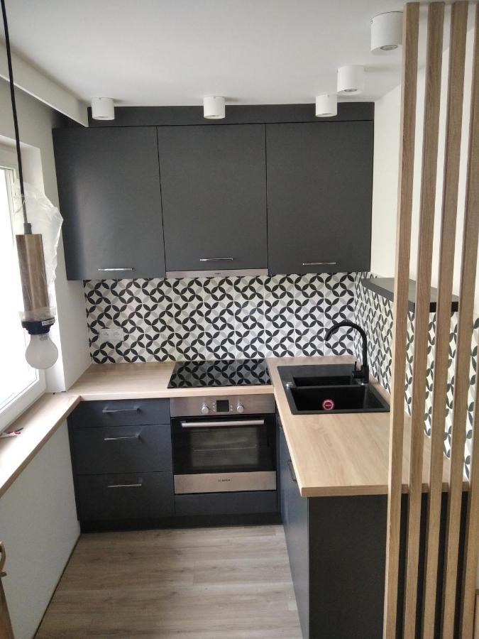 Apartament Zdroj ブスコ・ズドロイ エクステリア 写真